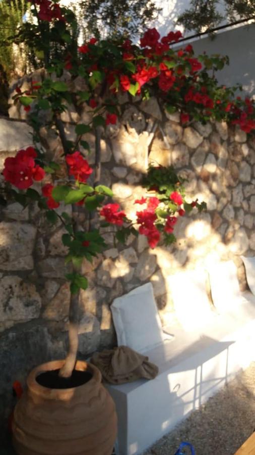 Villa Kostandin Qeparo Dış mekan fotoğraf