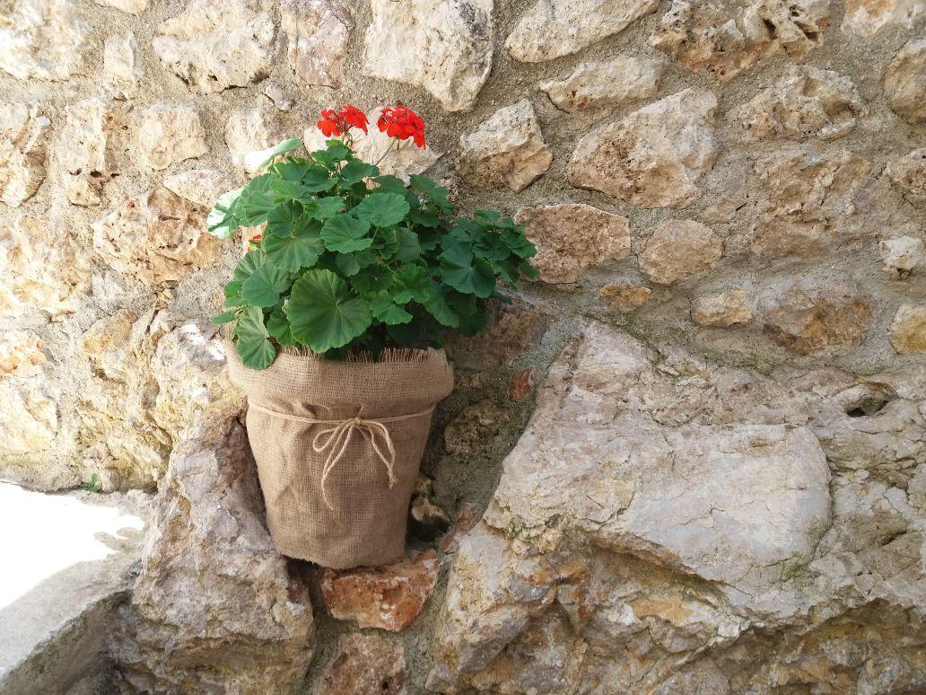 Villa Kostandin Qeparo Dış mekan fotoğraf